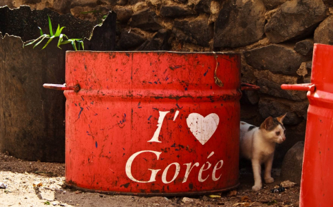 Tiešais reiss uz Senegālu, Dakāru ar FlyMeAway